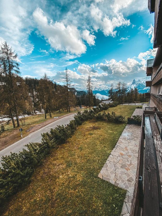 Perla A Cortina