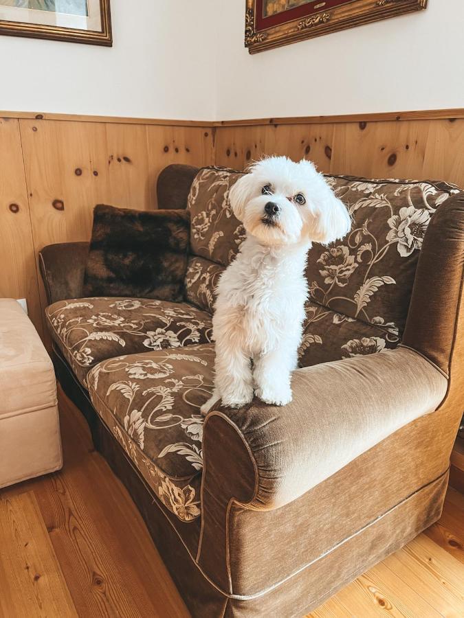 Perla A Cortina Apartamento *