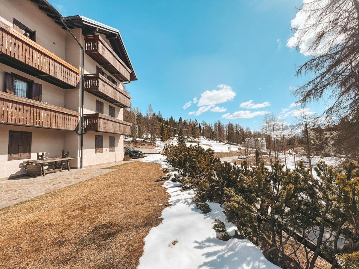 Apartamento Perla A Cortina *